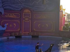 -横店影视城梦幻谷园区