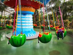 -南宫五洲植物乐园