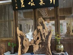 -厦门园林植物园-植物园滴水山房