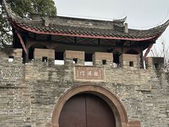 -桂湖森林公园