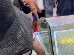 -上海全国土特产食品商场(淮海中路店)