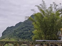 -靖西鹅泉风景区