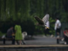 -北京动物园
