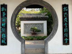 -水绘园