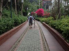 IMG_1269-铁路文化公园