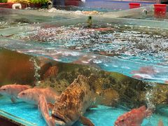 -大笑饭堂(甲子桥店)