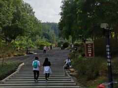 -火炉山森林公园