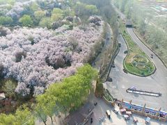 -石家庄市植物园