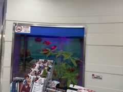 -雅悦齿科(顾村公园店)