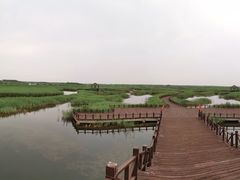 -南大港湿地风景区