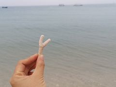 -石螺口海滩