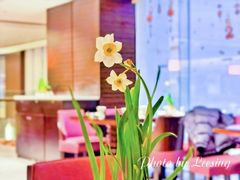 -厦门艾美酒店·乐美中餐厅