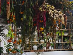 -自由生长植物工作室(深港花卉中心店)