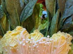 -吴老幺火锅(金龙店)