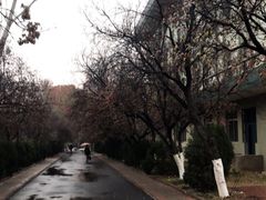 -山东师范大学(千佛山校区)