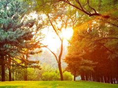 -元大都城垣遗址公园