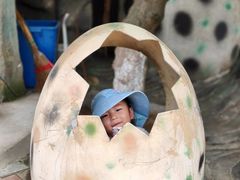 -西霞口神雕山野生动物世界