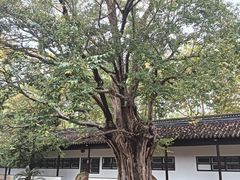 -苏州文庙(姑苏区)