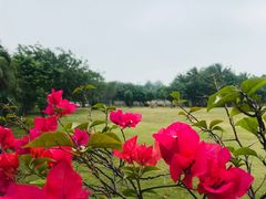 -白沙门生态公园