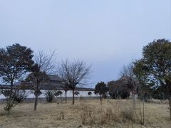 -商丘古城-应天书院