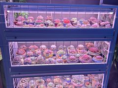 -琥珀老六龙虾(四里河店)