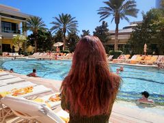 -拉斯维加斯永利酒店