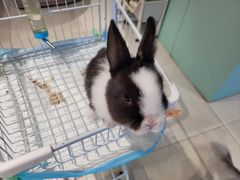 -怪兽屋·羊驼·猫咖·狗咖(俊华广场店)