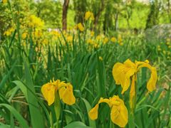 -济南国际园博园