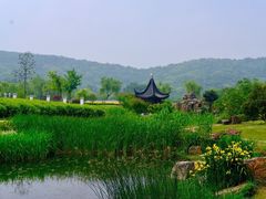 -龙寺生态园