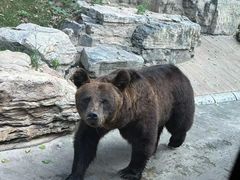 -北京野生动物园