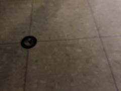 -大商麦凯乐(大连总店)