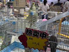 -重庆国际会议展览中心