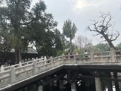 -晋祠公园
