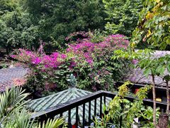 -院8里·少城记忆老川菜(宽窄巷子店)