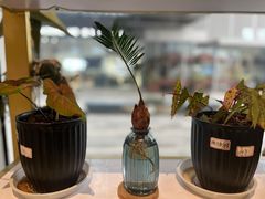 -卓花境Flowerwonderland花店