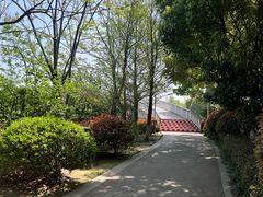 -澹台湖公园