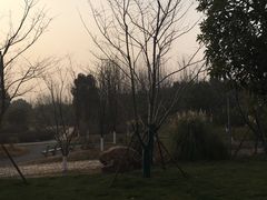 -武汉园博园(武汉自然博物馆)