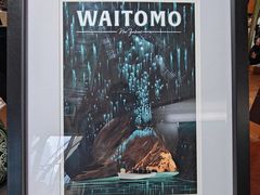 -怀托摩萤火虫洞