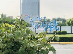 -石家庄市植物园