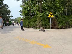 -西霞口神雕山野生动物世界