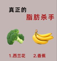 -Fundi张玉珊修身堂·indiba·BTL科技瘦身