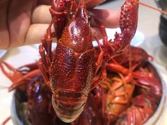 -怪怪龙虾·澳洲蓝龙王·深夜食堂(惊驾路店)