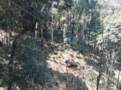 -清迈丛林飞跃 JungleFlight