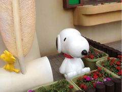 iphone_upload_pic-史诺比开心世界