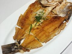 香煎海鲈鱼-汤城小厨•粤菜•靓汤(金宝街店)