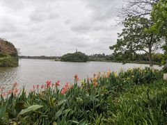 -海珠湖公园