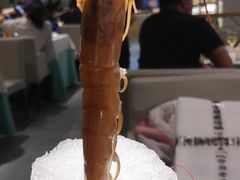 -海天盛宴新派海鲜自助餐厅(群力店)