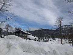 -柯尼希湖