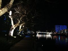 -运河游船(武林门码头)