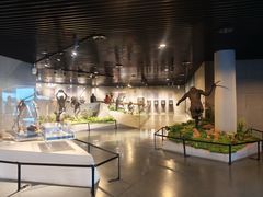 -北京周口店北京人遗址博物馆